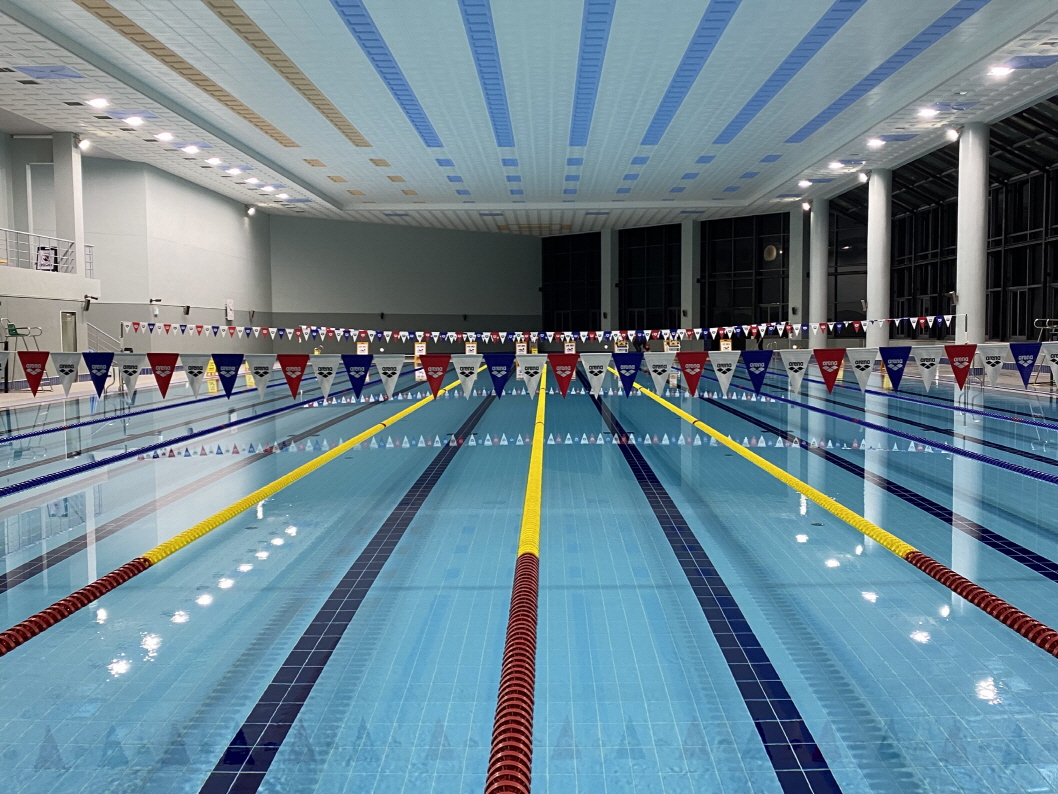 �����̹���